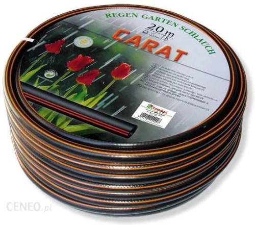 WAZ CARAT BRADAS.jpg