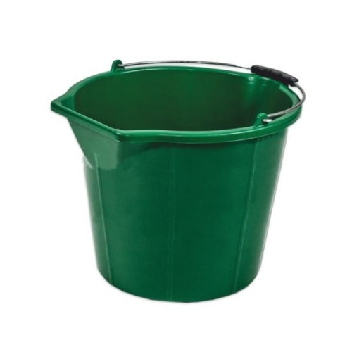 wiqdro ziel bud .jpg