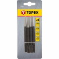 topex03A440.jpg
