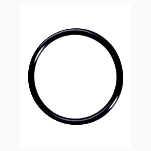 oring22.jpg