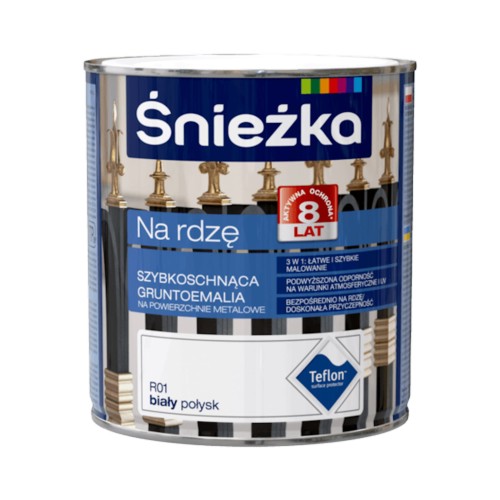 ŚNIEŻKA NA RDZĘ BIAŁY POŁYSK.jpg