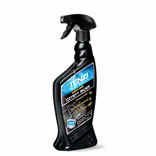 czysty silnik tenzi.jpg