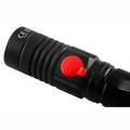 neo99-033a.jpg