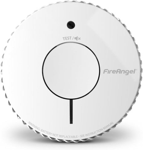 fire angel 4.jpg